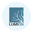 Lumion