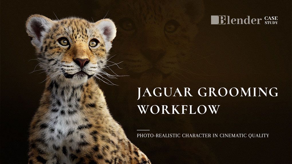 Blender美洲豹动物毛发实例制作视频教程 Jaguar Grooming WorkflowBlender,Blender教程 - 趣光影 www.aeown.com