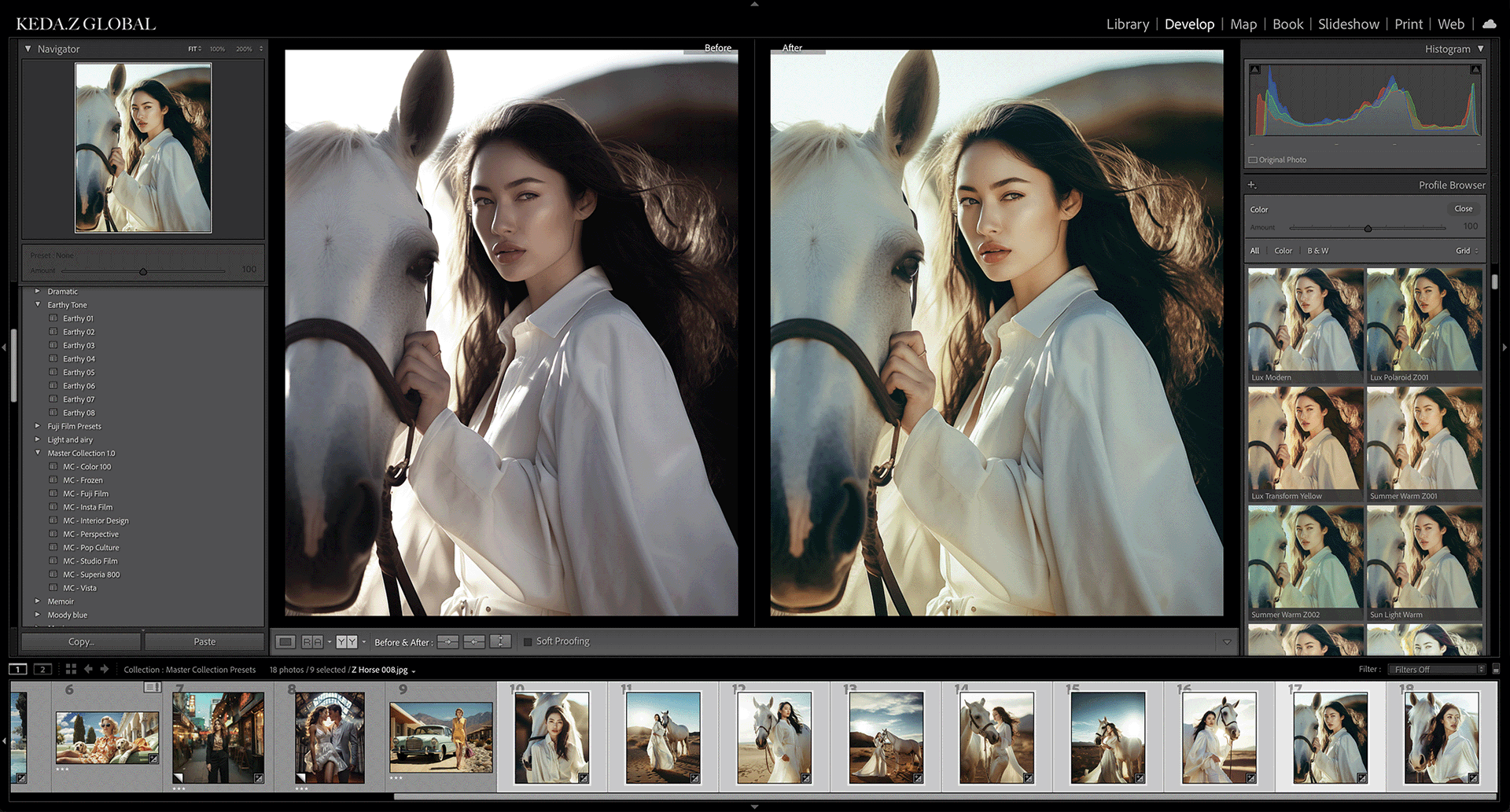 Keda Z-时尚大片LR预设3.0全集 Keda Z-Master Collections Presets 3.0 FullKeda Z预设,LR预设,时尚大片lr预设,时尚人像lr预设,LUT预设 - 趣光影 www.aeown.com