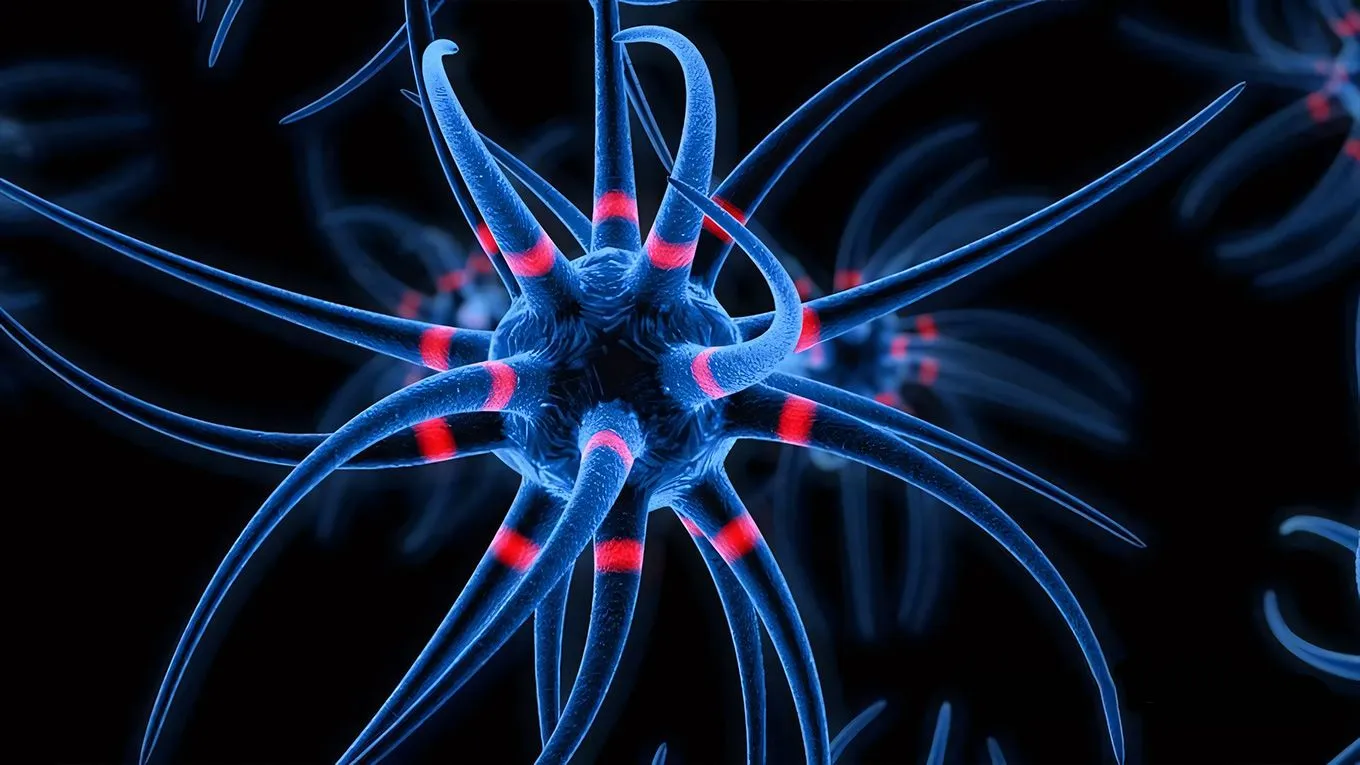 C4D大脑神经传输动画视频教程 Brain Cell Animation Cinema 4D Tutorial - 趣光影 www.aeown.com