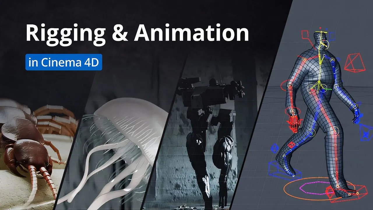 Cinema 4D影视级角色骨骼动画大师班视频教程 Rigging and Animation in Cinema 4D - 趣光影 www.aeown.com