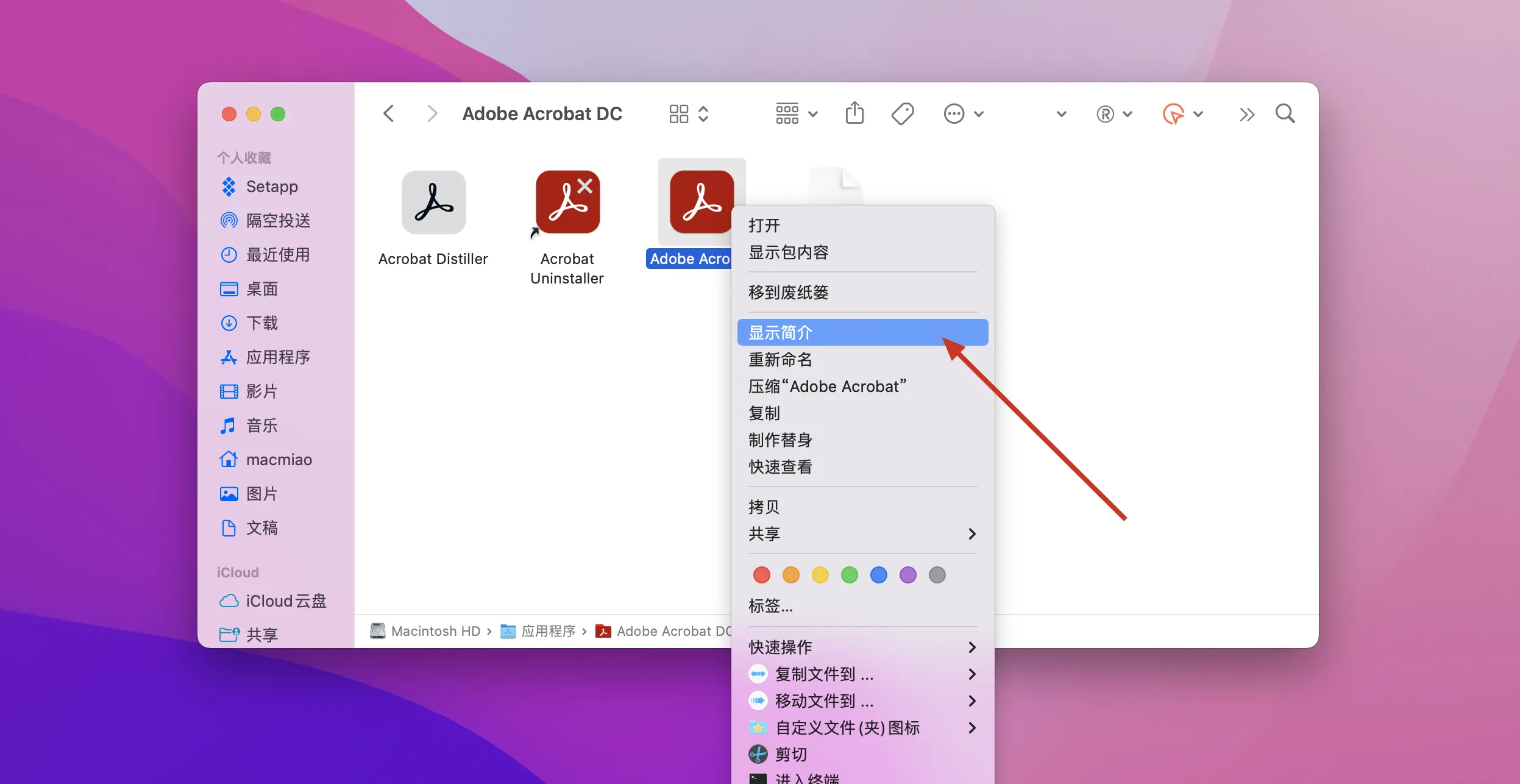 Adobe Acrobat Pro DC for Mac v2024.005.20320中文破解版 非常棒的PDF编辑器 - 趣光影 www.aeown.com