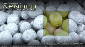 C4D中Arnold超级渲染技术训练视频教程 cmiVFX Arnold To Cinema 4D