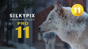 专业RAW照片处理编辑软件 SILKYPIX Developer Studio Pro 11.0.16.0 Win/Mac中文版