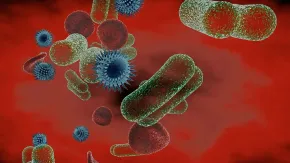 C4D显微镜下观察微生物活动视频教程 Virus y bacterias al microscopio C4D Tutorial