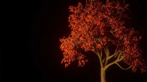 C4D与Octane逼真自然树场景实例制作视频教程 How to make an Easy Realistic Nature Tree Scene in Cinema 4D Octane